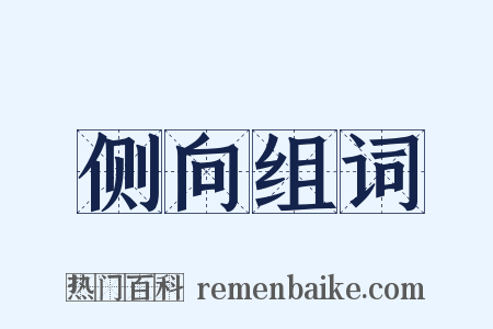 侧向组词是什么意思的图片